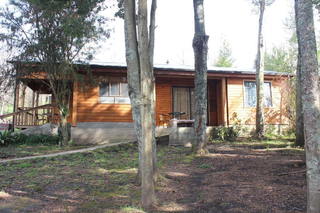 Apart Hotel Puchaley Lafquen Panguipulli Exterior photo